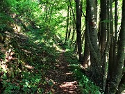 16 Il sentiero per la linea tagliafuoco dalla Pernice di Zogno